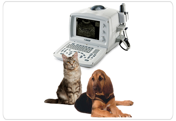 ecografos veterinarios